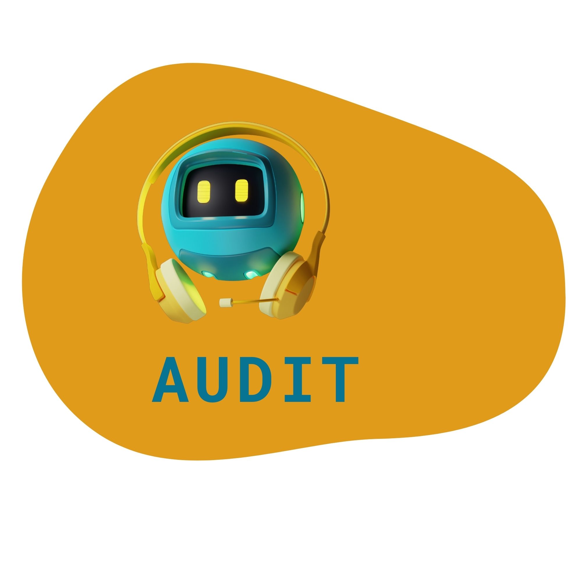 AUDIT fanny velsin